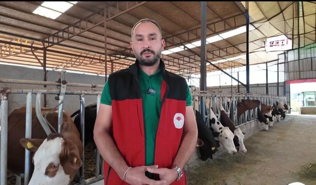 Şap Hastalığına Karşı Uyarı: Hayvanlarda Bu Belirtilere Dikkat!