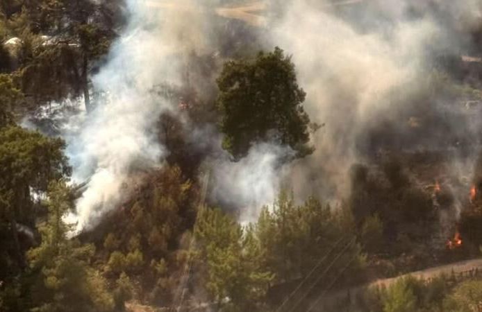 Antalya'da ormanlık alanda yangın çıktı