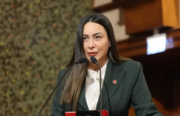 Hülya Şimşek Kimdir, Neden Tutuklandı? Şapkalılar Dosyası Nedir?
