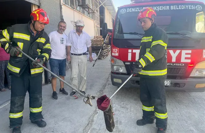 Sanayi Sitesinde Yılan Paniği! Zehirli Engerek İtfaiyeyi Harekete Geçirdi