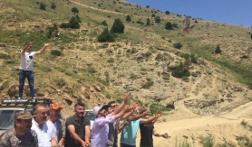 Afşin'de 500 Adet Kınalı Keklik Doğaya Salındı