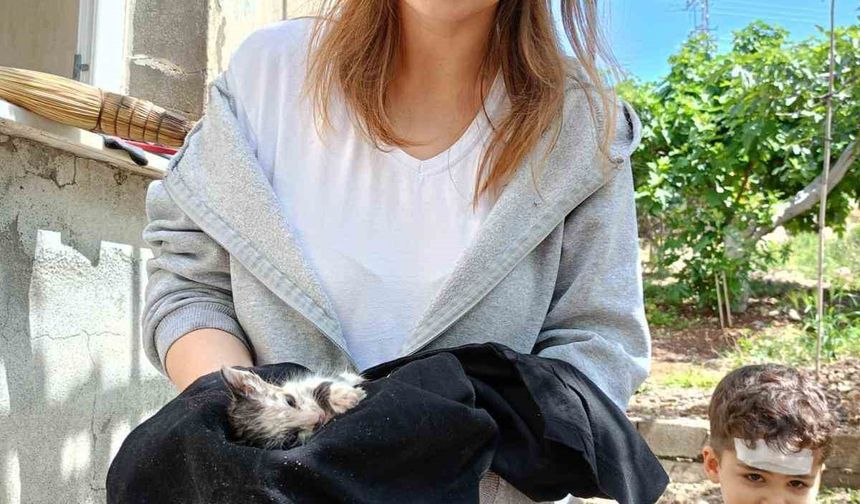 Havalandırma boşluğunda mahsur kalan yavru kedileri itfaiye kurtardı