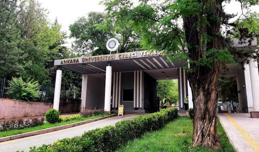 Ankara Üniversitesi Sözleşmeli Bilişim Personeli Alım İlanı
