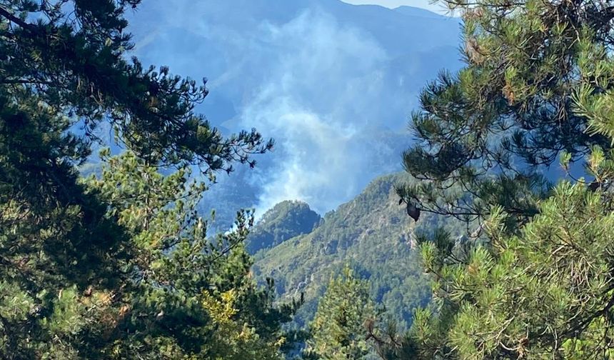 GÜNCELLEME - Hatay'da ormanlık alanda yangın çıktı