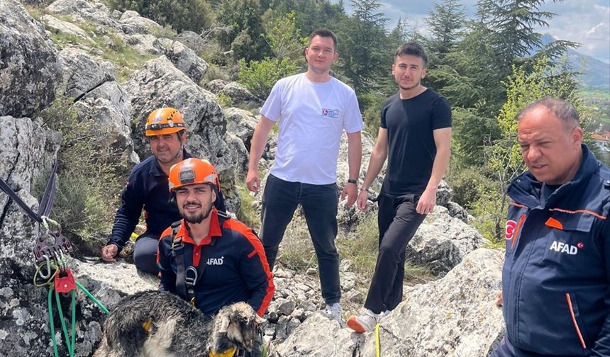 Burdur'da dağlık alanda mahsur kalan keçiyi AFAD kurtardı