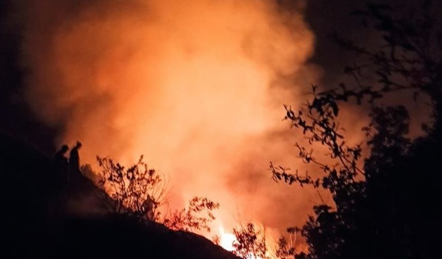 Burdur'da sazlık alanda çıkan yangın kontrol altına alındı