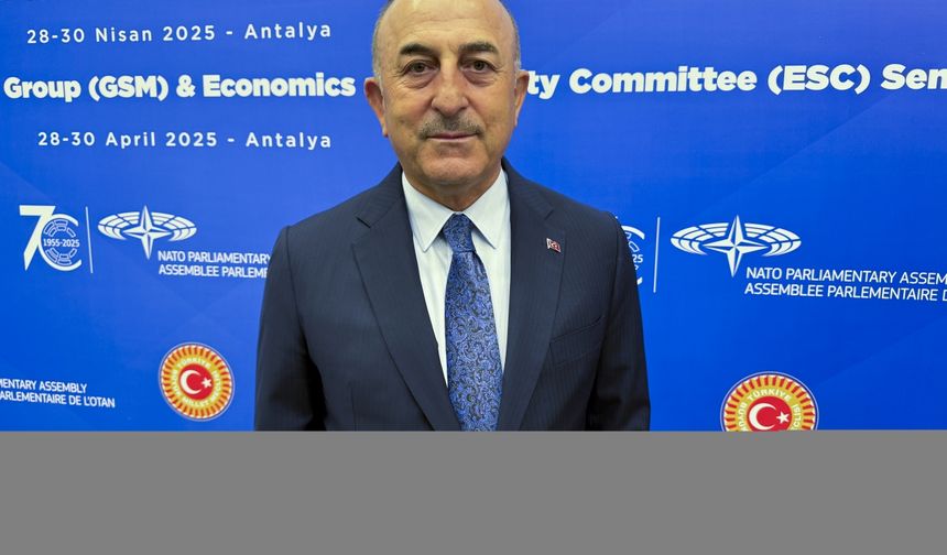 NATO Parlamenter Asamblesi'nin Antalya'daki semineri sona erdi
