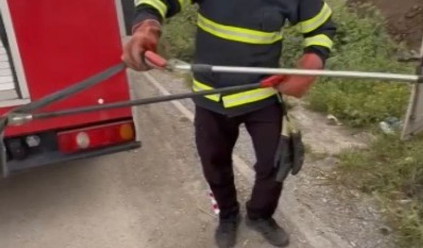 Osmaniye’de elektrik panosuna giren yılanı itfaiye çıkardı