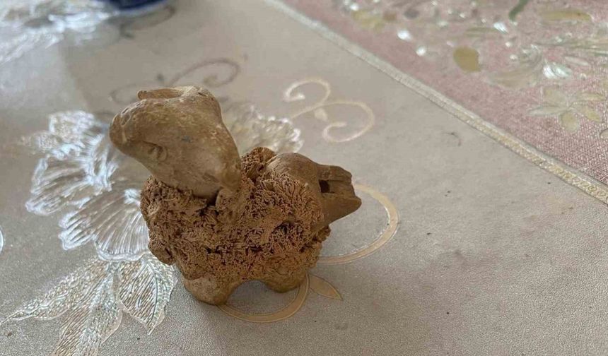 "Şahruhiye Şehri Kazı Projesi "sinde kazılar yeniden başlayacak