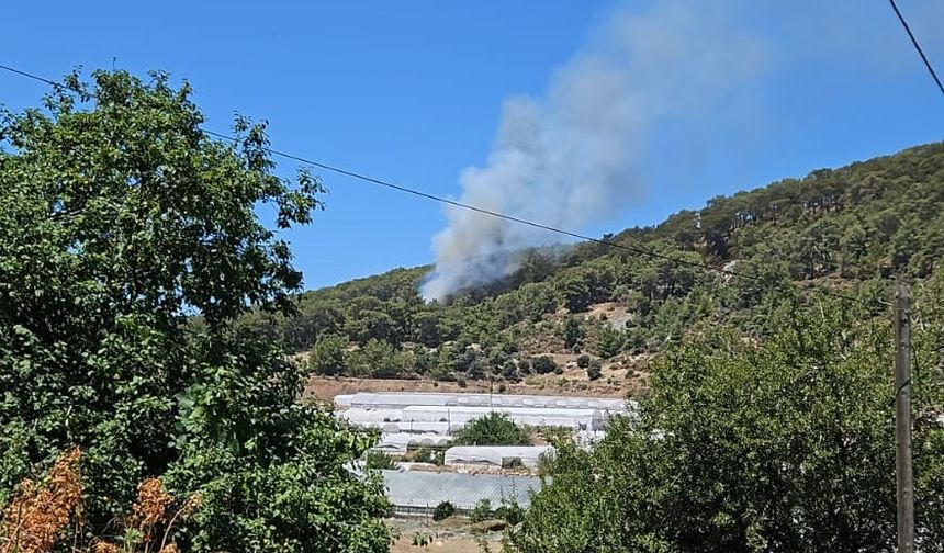 Antalya'da çıkan orman yangınına müdahale ediliyor