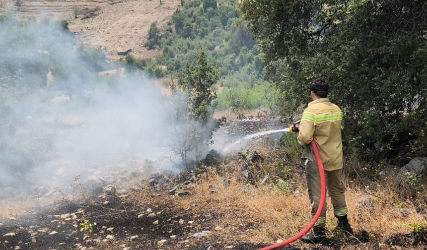 Antalya'da makilik alanda çıkan yangın kontrol altına alındı