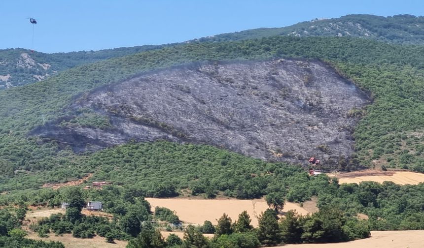 Bursa'da çıkan orman yangını kontrol altına alındı