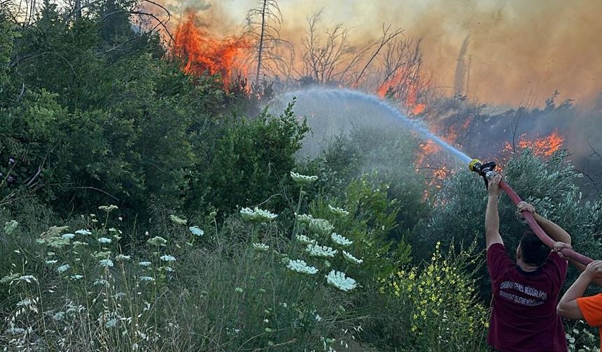 Manavgat'ta çıkan orman yangını söndürüldü