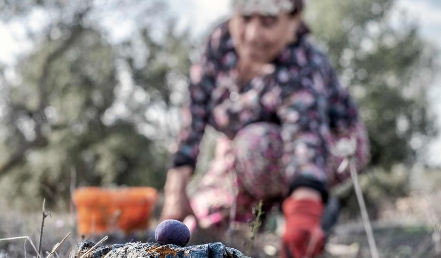 Kuraklığa ve Açlığa Büyük Adım Yasası Genel Kurul’da