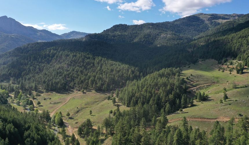 Milli Park İlan Edilen Geben Vadisi'nde Ekoturizmin Canlanması Bekleniyor