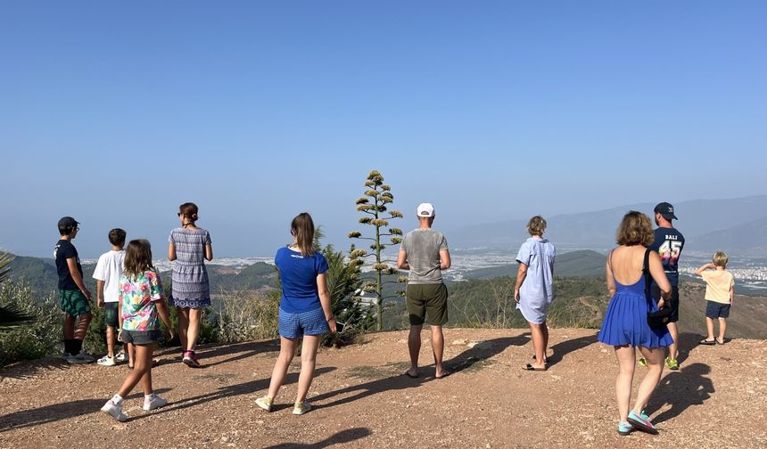 Antalya'da 30 yıl önce süs için dikilen Agave bitkisi çiçek açtı