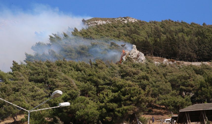 Hatay Antakya'da orman yangını çıktı