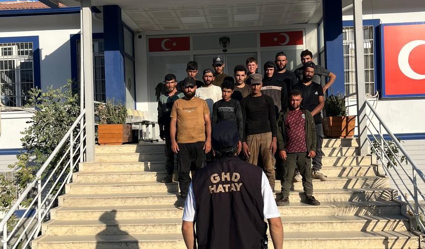 Hatay'da 14 düzensiz göçmen yakalandı