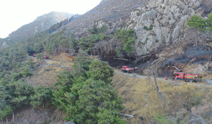 Hatay'da çıkan orman yangını kontrol altına alındı