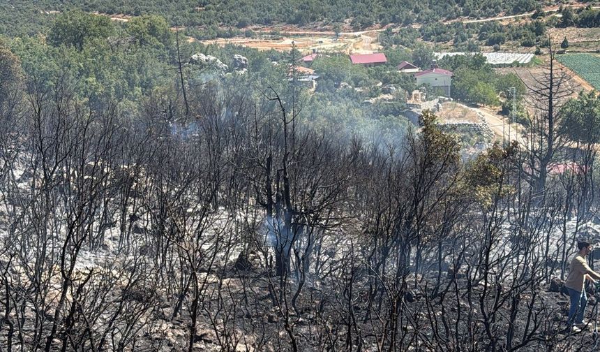 Mersin'de ağaçlık alanda çıkan yangın kontrol altında