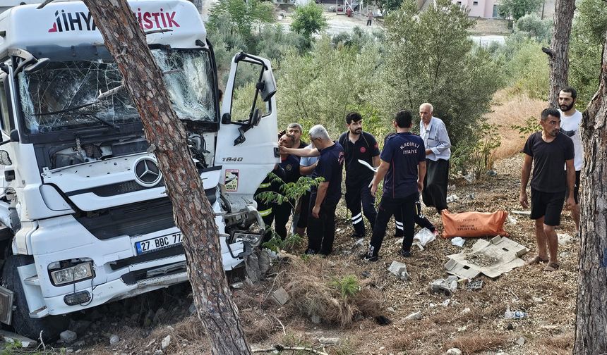Osmaniye'de ağaca çarpan tırın sürücüsü yaralandı