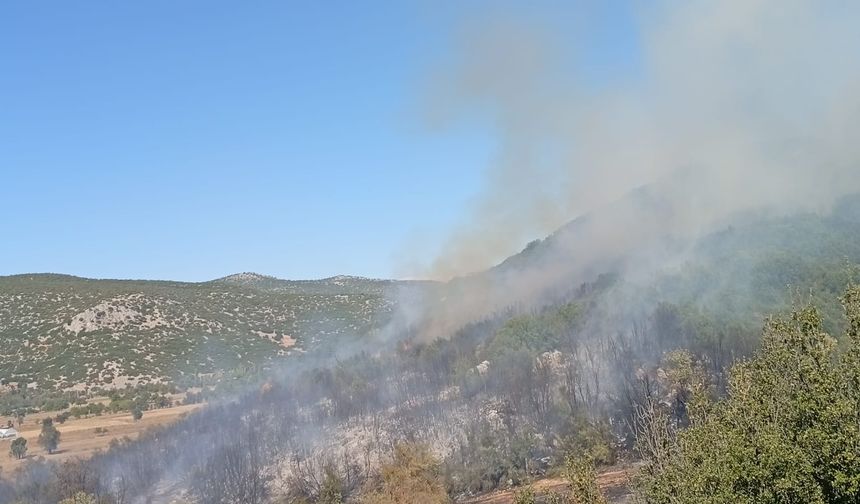 Burdur'da ormanlık alanda çıkan yangına müdahale ediliyor
