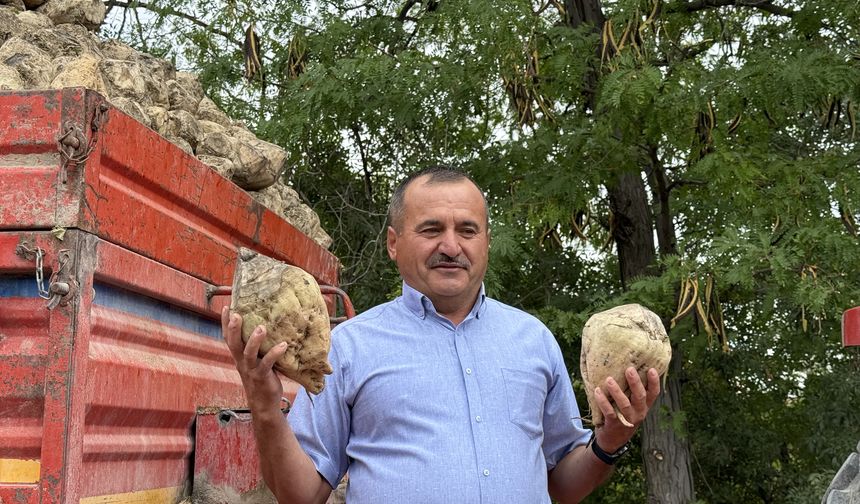 Burdur'da yaklaşık 75 bin ton kristal şeker üretilecek