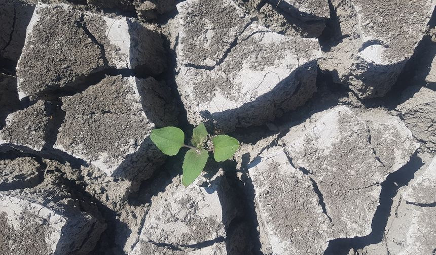 Gaziantep'teki Tahtaköprü Barajı'nda su seviyesi yüzde 30'a düştü