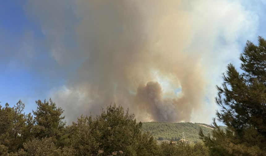 Antalya'nın Alanya ilçesinde ormanlık alanlarda çıkan yangınlara müdahale sürüyor