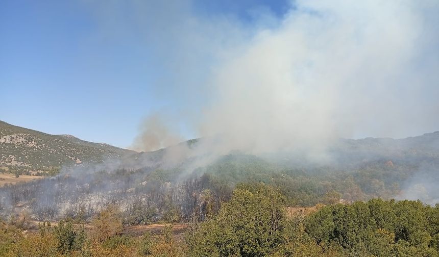 Burdur'da ormanlık alanda çıkan yangın kontrol altına alındı