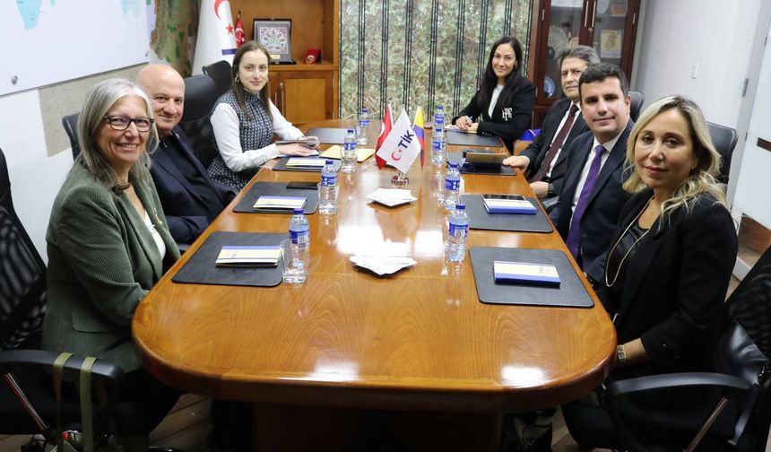 AK Parti'li Çokal, AND Parlamentosu'nda Türkiye'nin diplomasideki rolünü anlattı