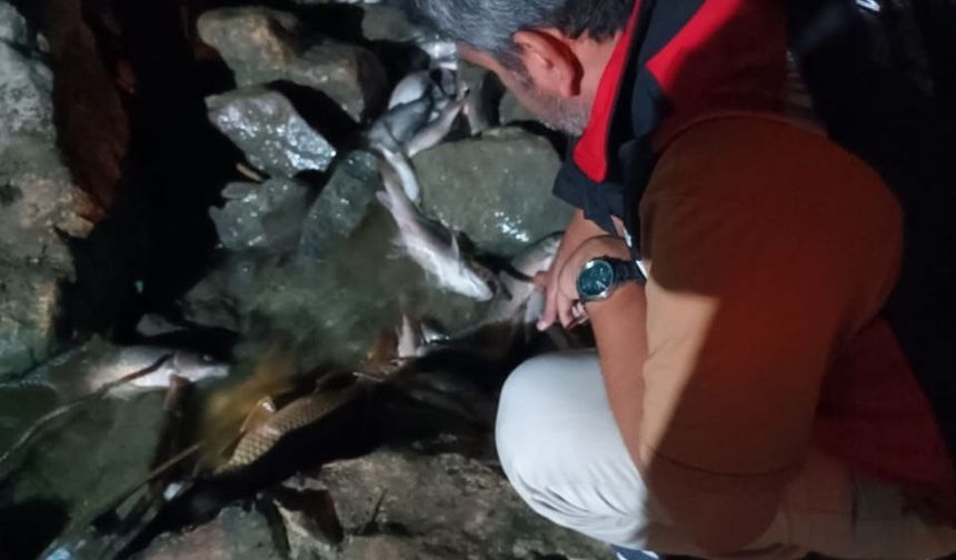 Ceyhan Nehri’ndeki kirlilikle ilgili numune alındı