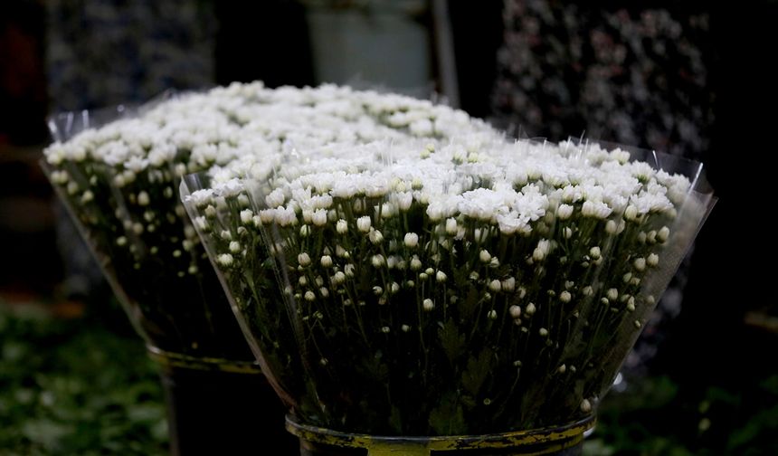 Antalya'da çiçek mezatlarında Öğretmenler Günü yoğunluğu