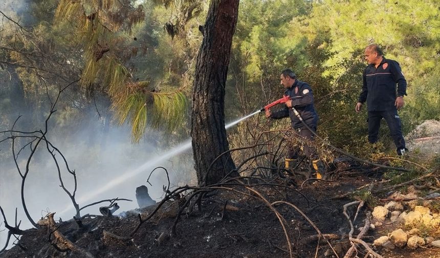 Sarıçam ilçesinde çıkan orman yangını söndürüldü