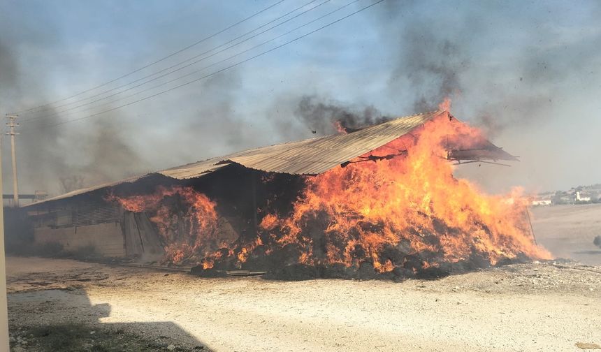 Sarıçam ilçesinde samanlıkta çıkan yangın söndürüldü