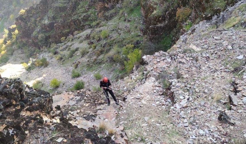 Kayalıklarda Mahsur Kalan Keçiler Kurtarıldı