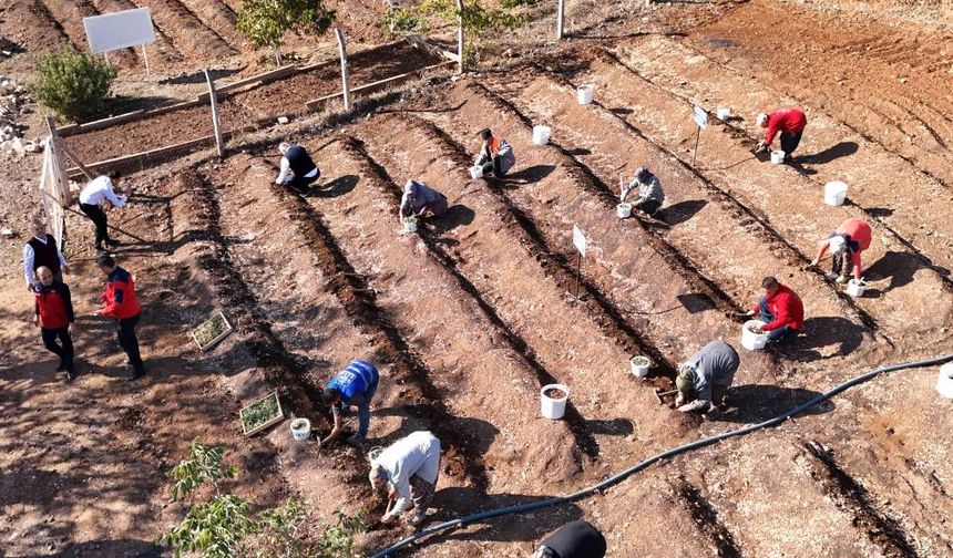 Salep Toprakla Buluşturuldu