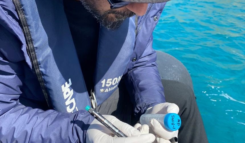 En çok mikroplastik Bozburun'da tespit edildi