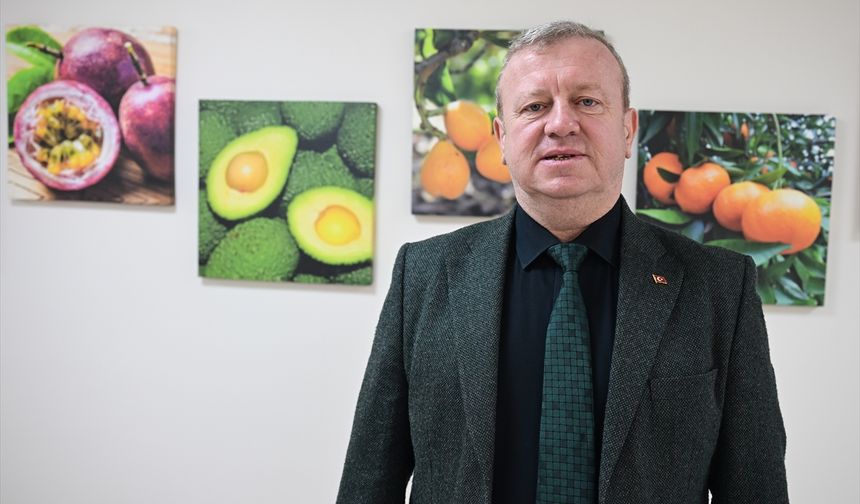 Tescillenen 8 tropikal meyve çeşidi Milli Çeşit Listesi'ne girdi