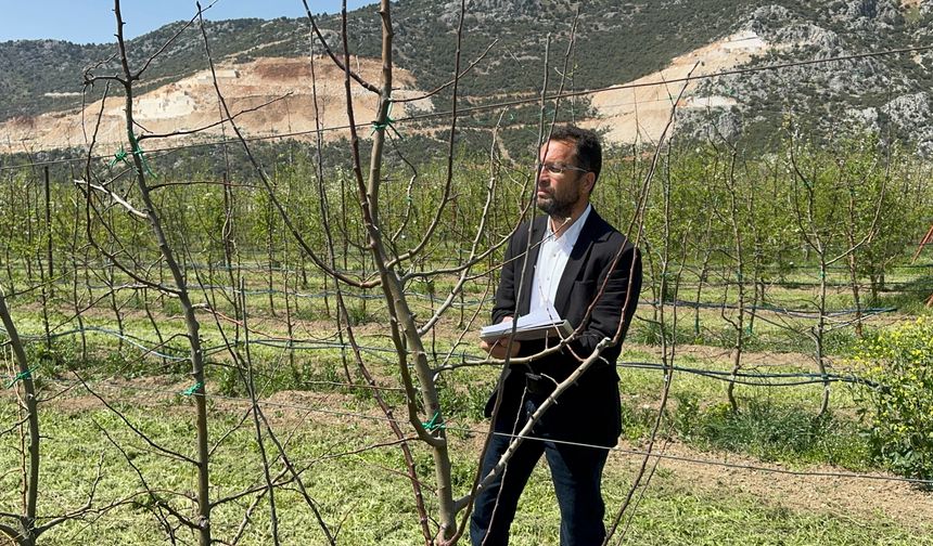 Türkiye'nin elma bahçesi Isparta'da zirai dona karşı yerli çeşitler geliştiriliyor