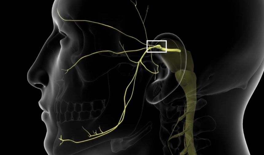Bu Ağrı, Yemeyi Ve Konuşmayı Önlüyor!