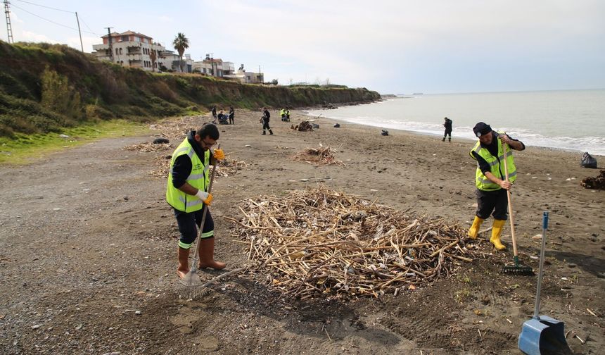 Arsuz ve Payas ilçelerinin kıyı şeridinde temizlik yapıldı