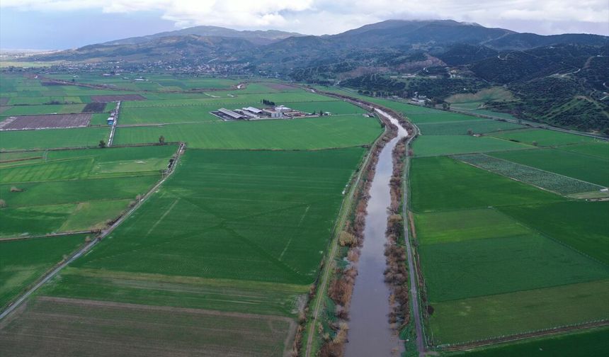 Büyük Menderes Nehri yağmur sularıyla güçlendi