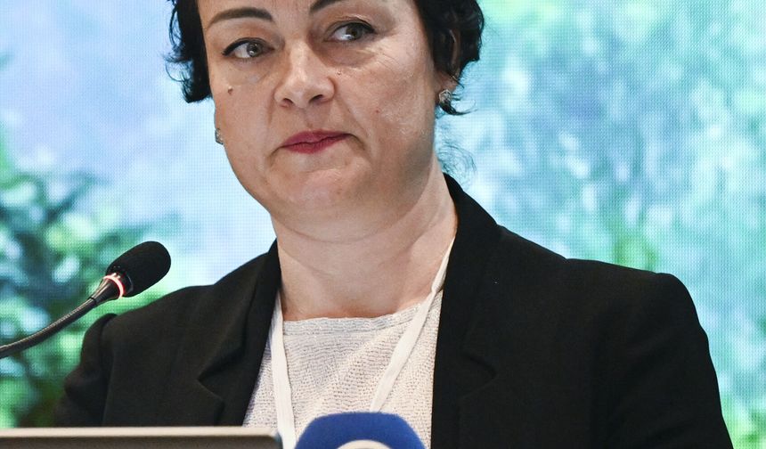 FSC Türkiye, orman ürünleri sektörünü Ankara'da bir araya getirdi