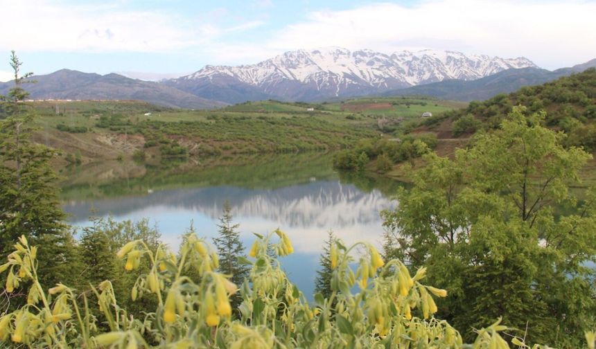 Afşin’de Doğa Şöleni: Esence Göleti ile Berit Dağı Görenleri Hayran Bırakıyor