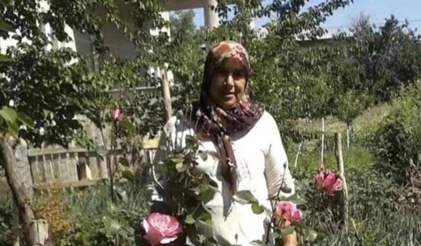 Gülşen Ergin Vefat Etti