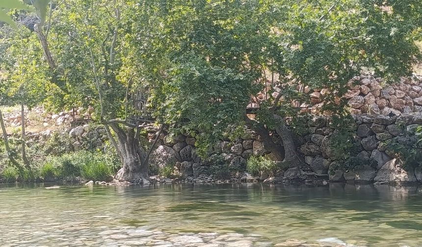 Karasu Vadisi Görenleri Kendine Hayran Bırakıyor