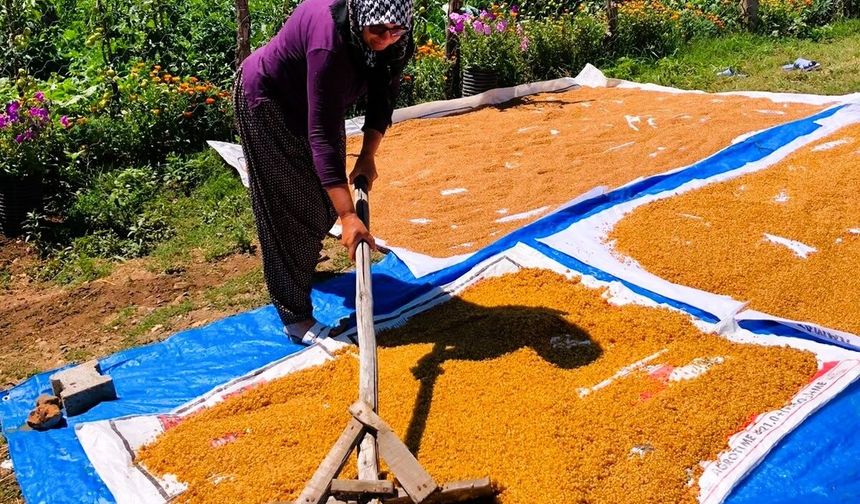 İmece Geleneği Sürüyor: Bulgur Kazanları Yeniden Yandı