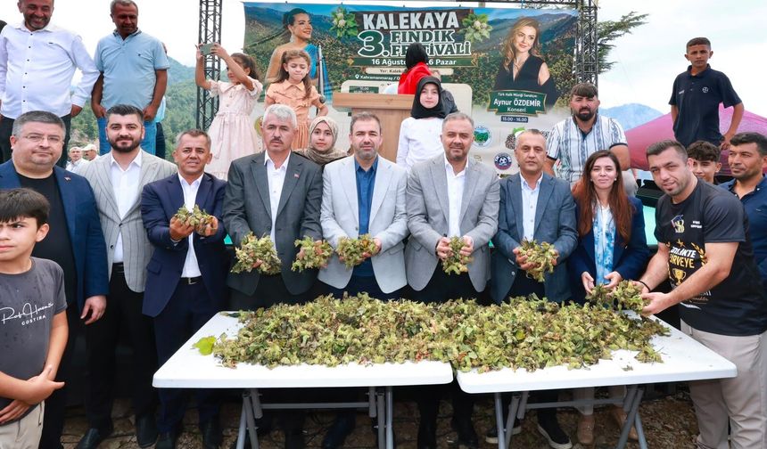 Kahramanmaraş’ın Karadeniz’i’nde Fındık Hasadı Şenliği