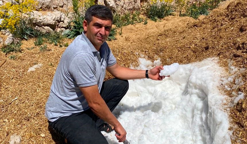Yazın Serinleten Gelenek: Yaylada Saklanan Kar Gün Yüzüne Çıktı